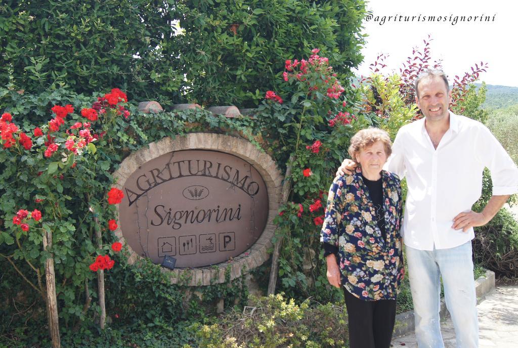Agriturismo Signorini Orciatico Exterior foto