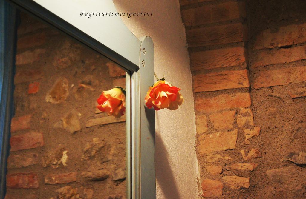 Agriturismo Signorini Orciatico Exterior foto