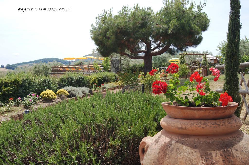 Agriturismo Signorini Orciatico Exterior foto