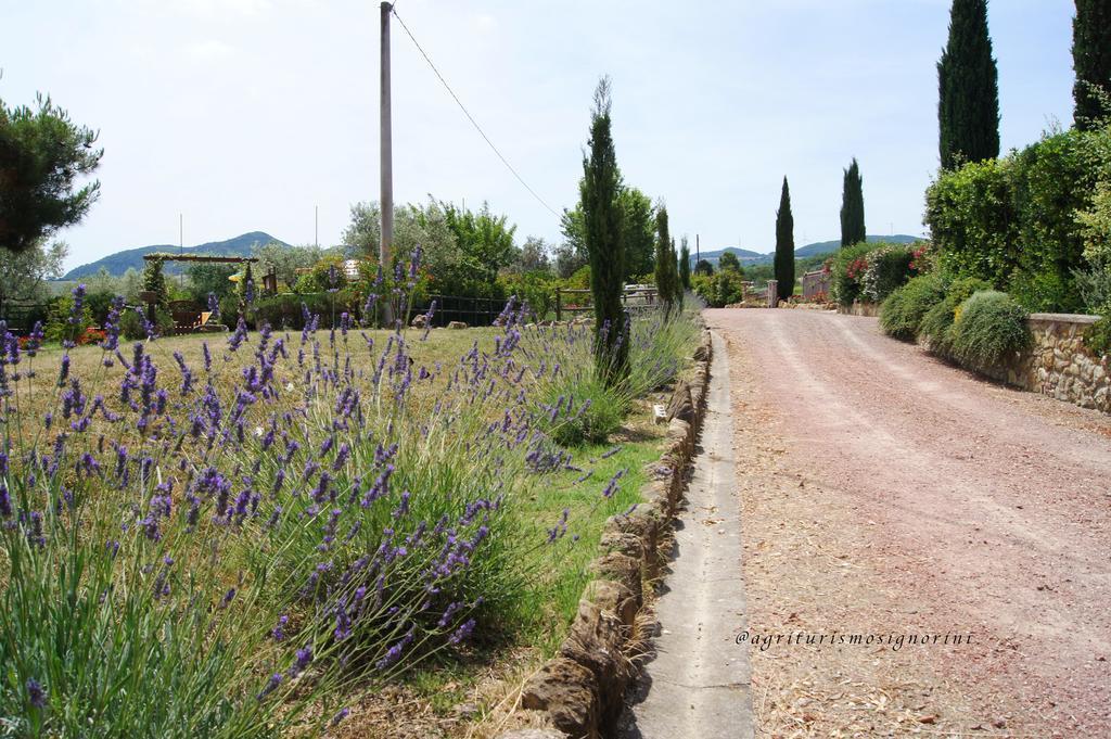 Agriturismo Signorini Orciatico Exterior foto